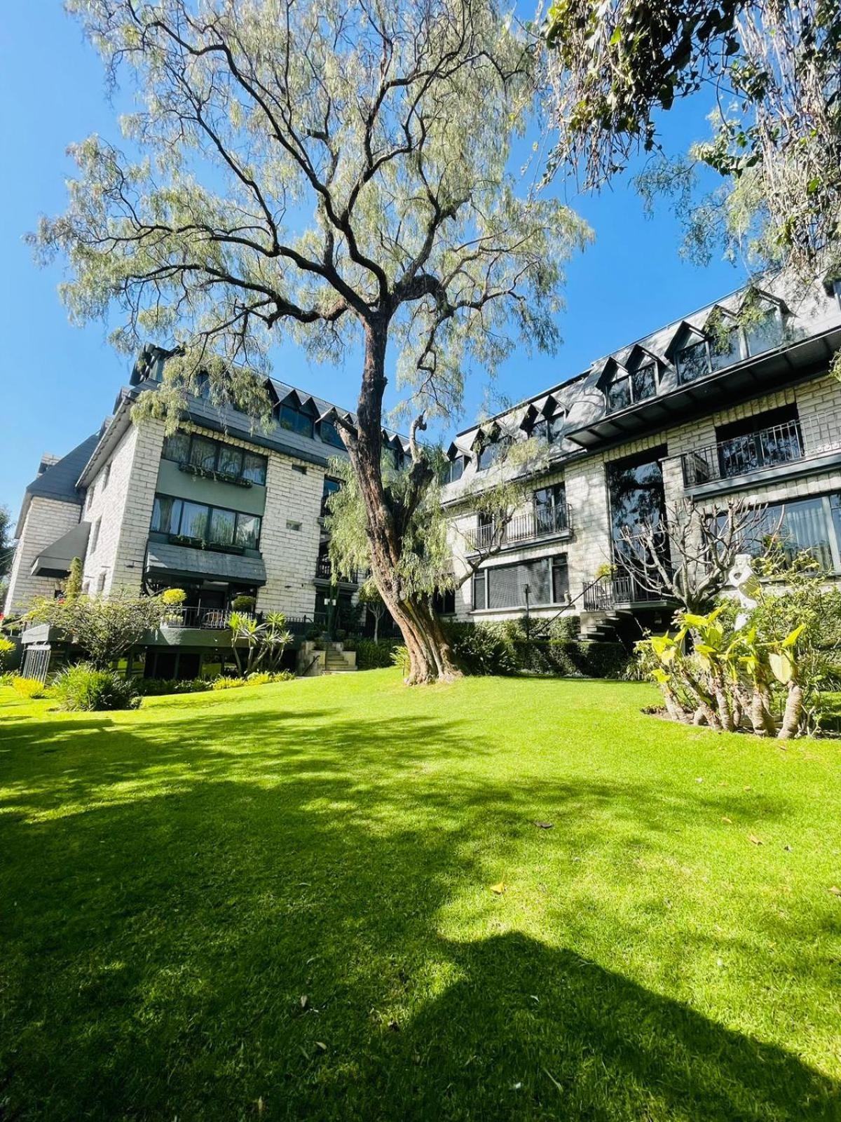 Hotel Casagrande Arequipa Ngoại thất bức ảnh